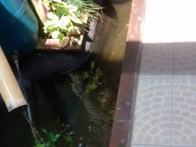 Sobrado para Venda em São Paulo - 5