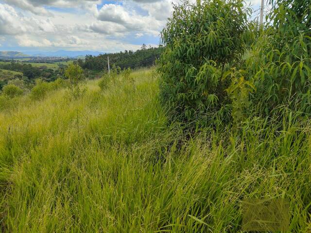Chácara para Venda em Piracaia - 4
