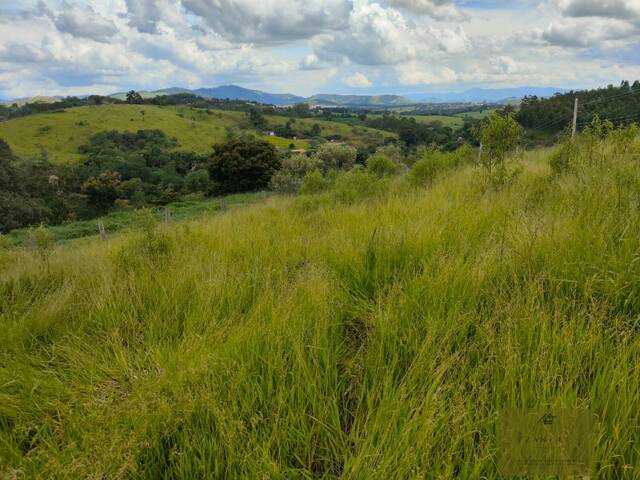 #238 - Chácara para Venda em Piracaia - SP