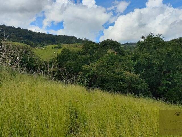 #238 - Chácara para Venda em Piracaia - SP